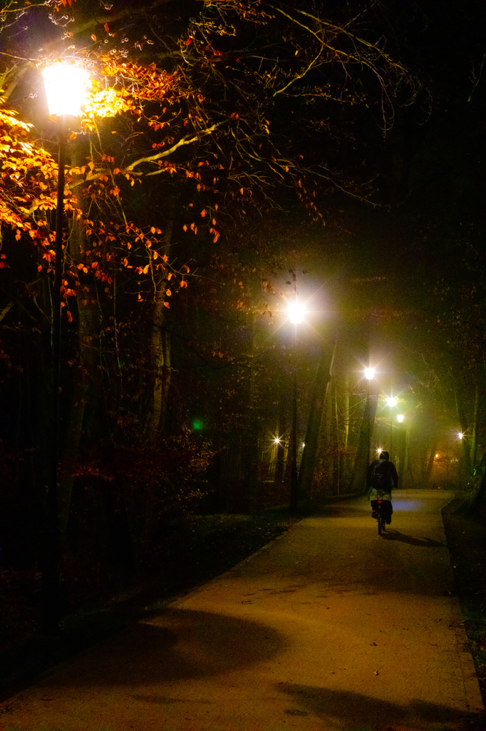 Park Oruński, Gdańsk