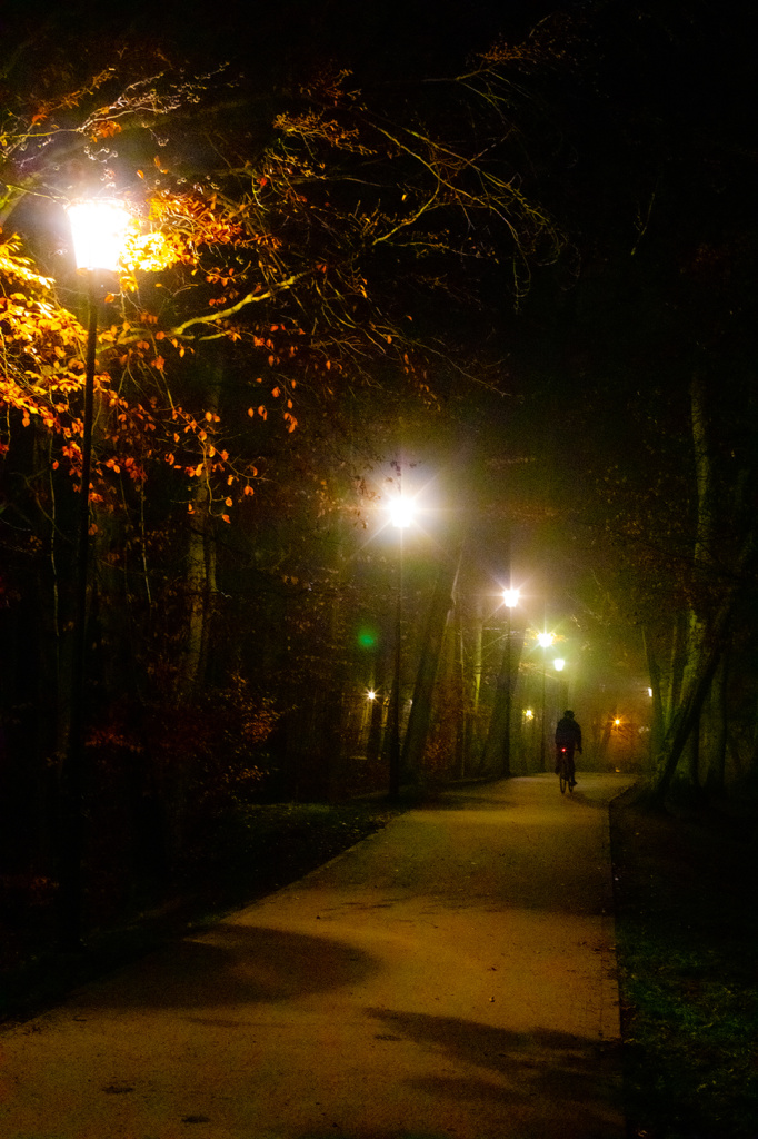 Park Oruński, Gdańsk