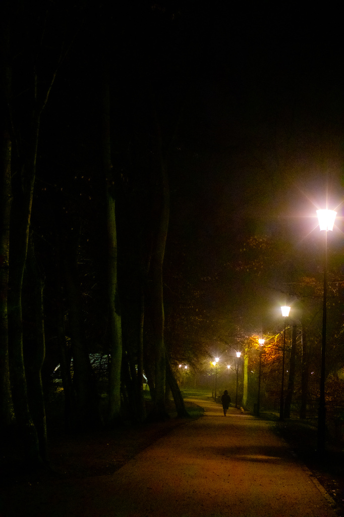 Park Oruński, Gdańsk