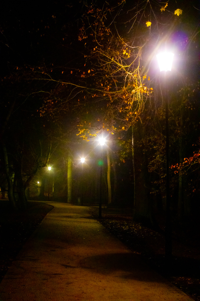 Park Oruński, Gdańsk