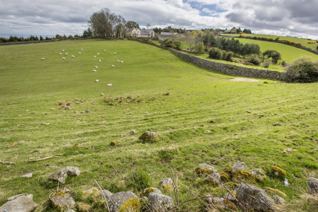 Ireland - Dublin