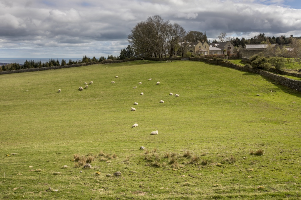 Ireland - Dublin