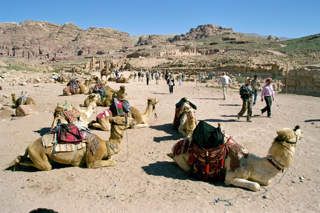 Jordania - Pustynia - Wadi Rum