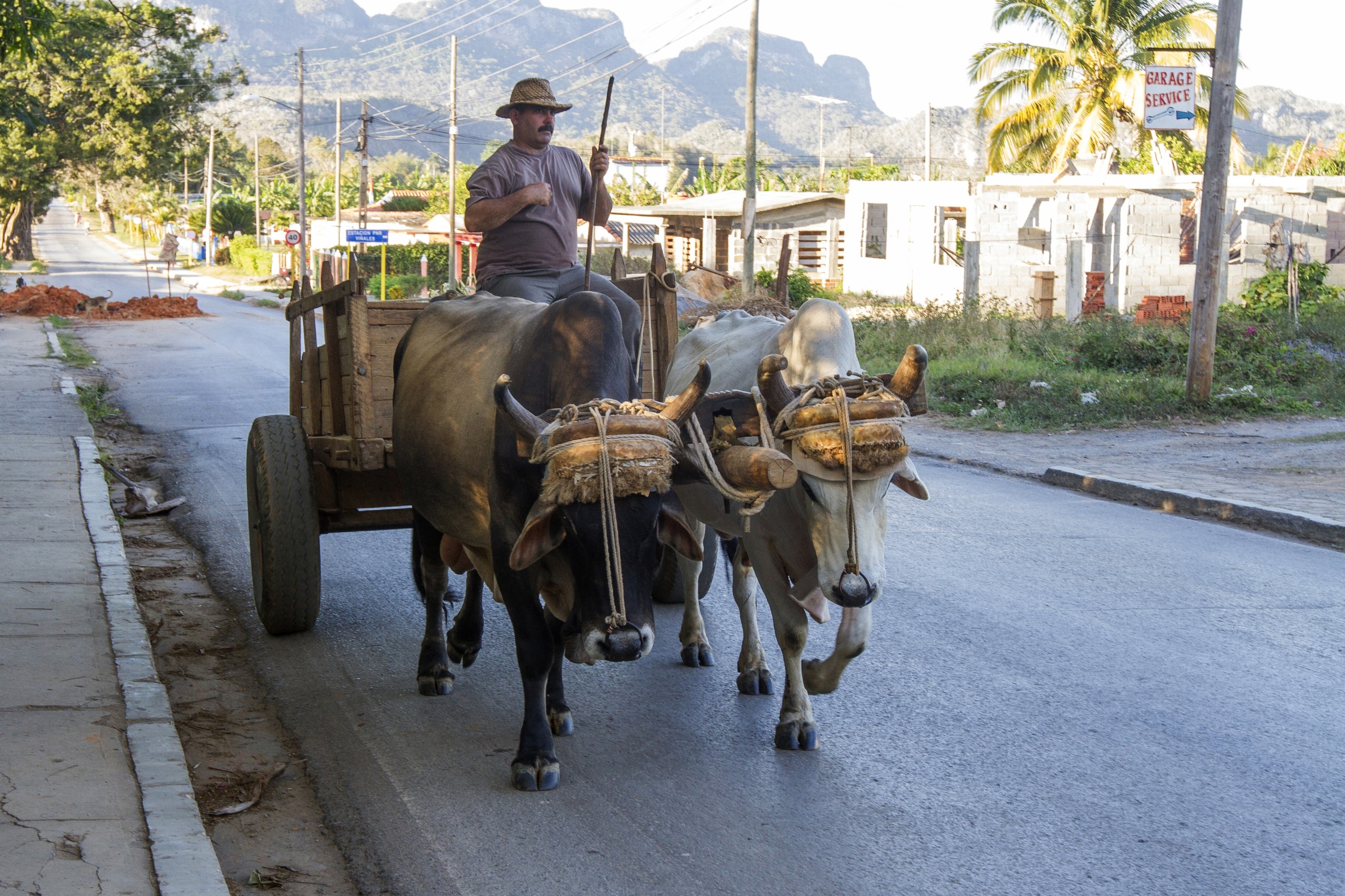 Vinales - Region upraw tytoniu