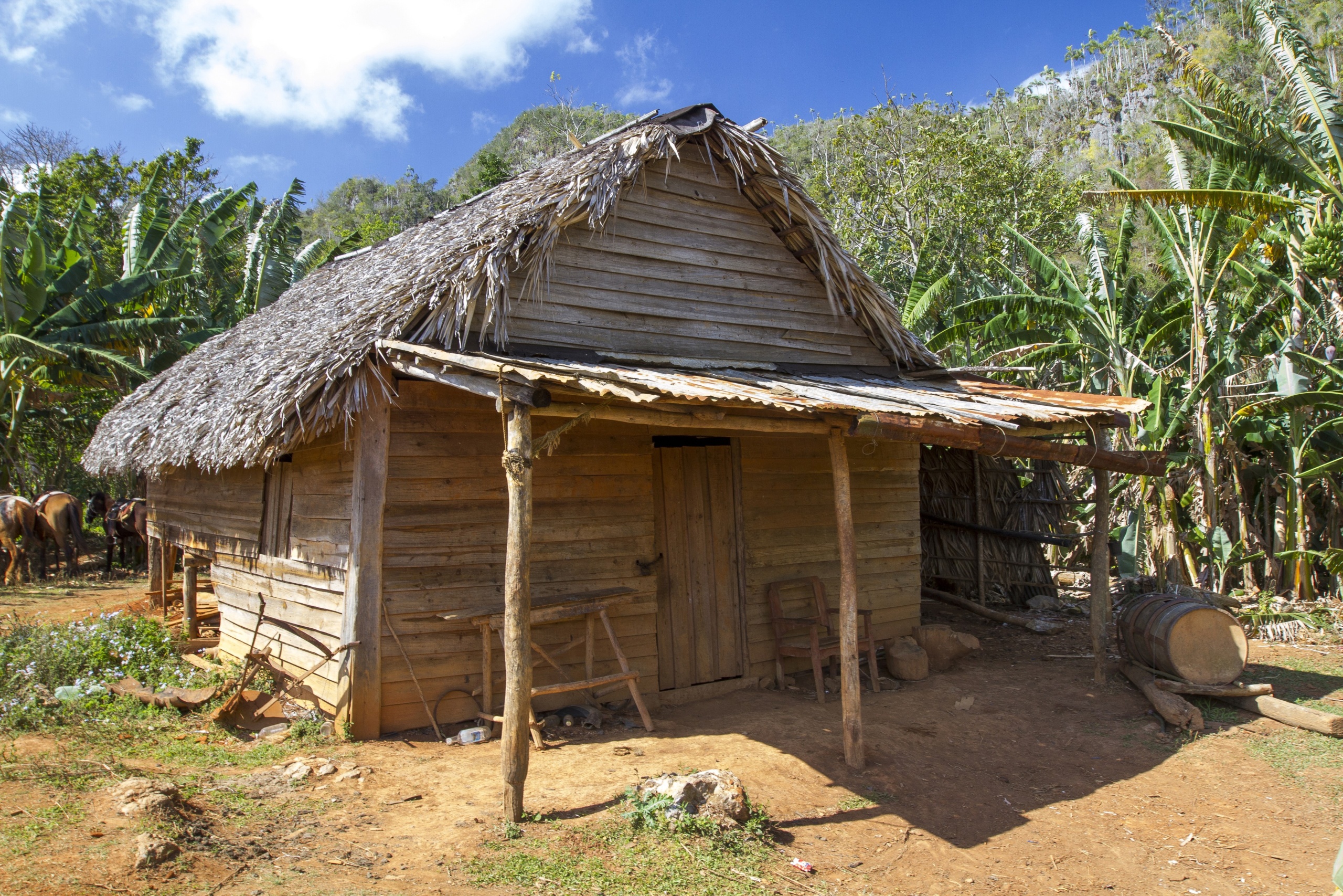 Vinales