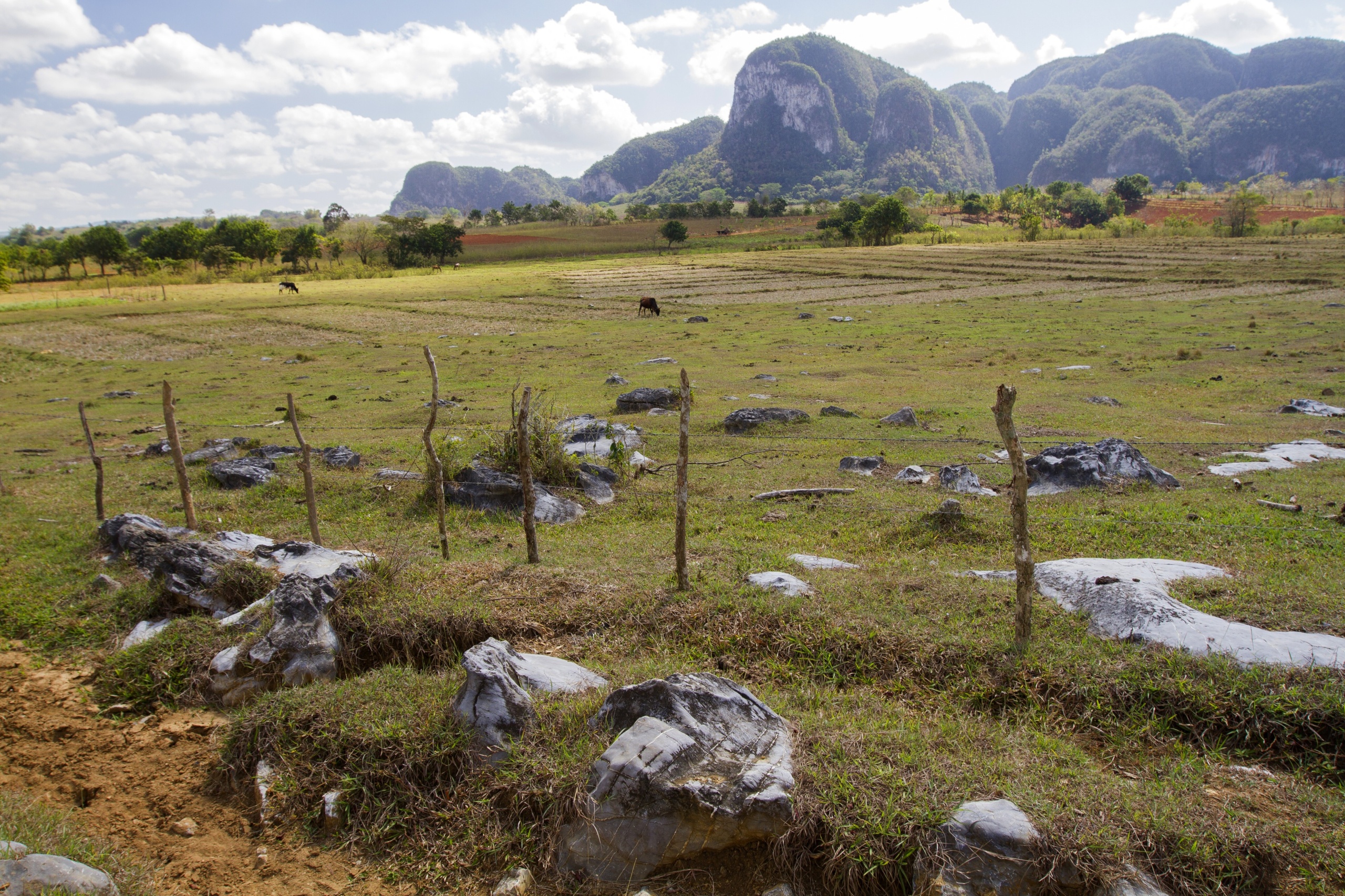 Vinales