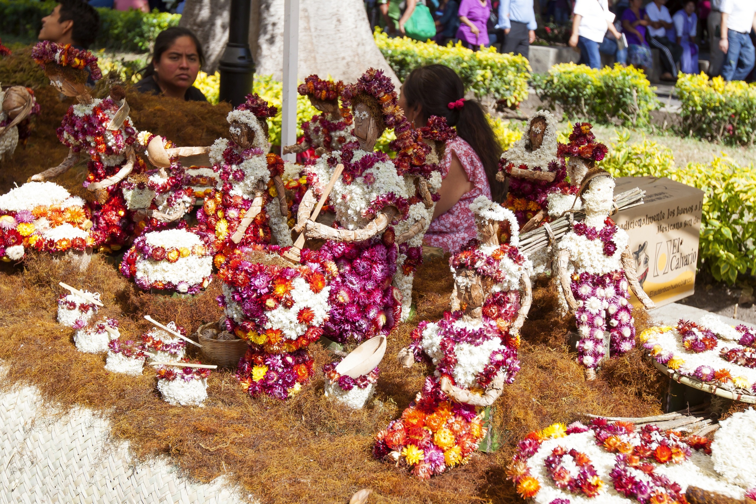 Oaxaca - Festiwal Rzodkiewek