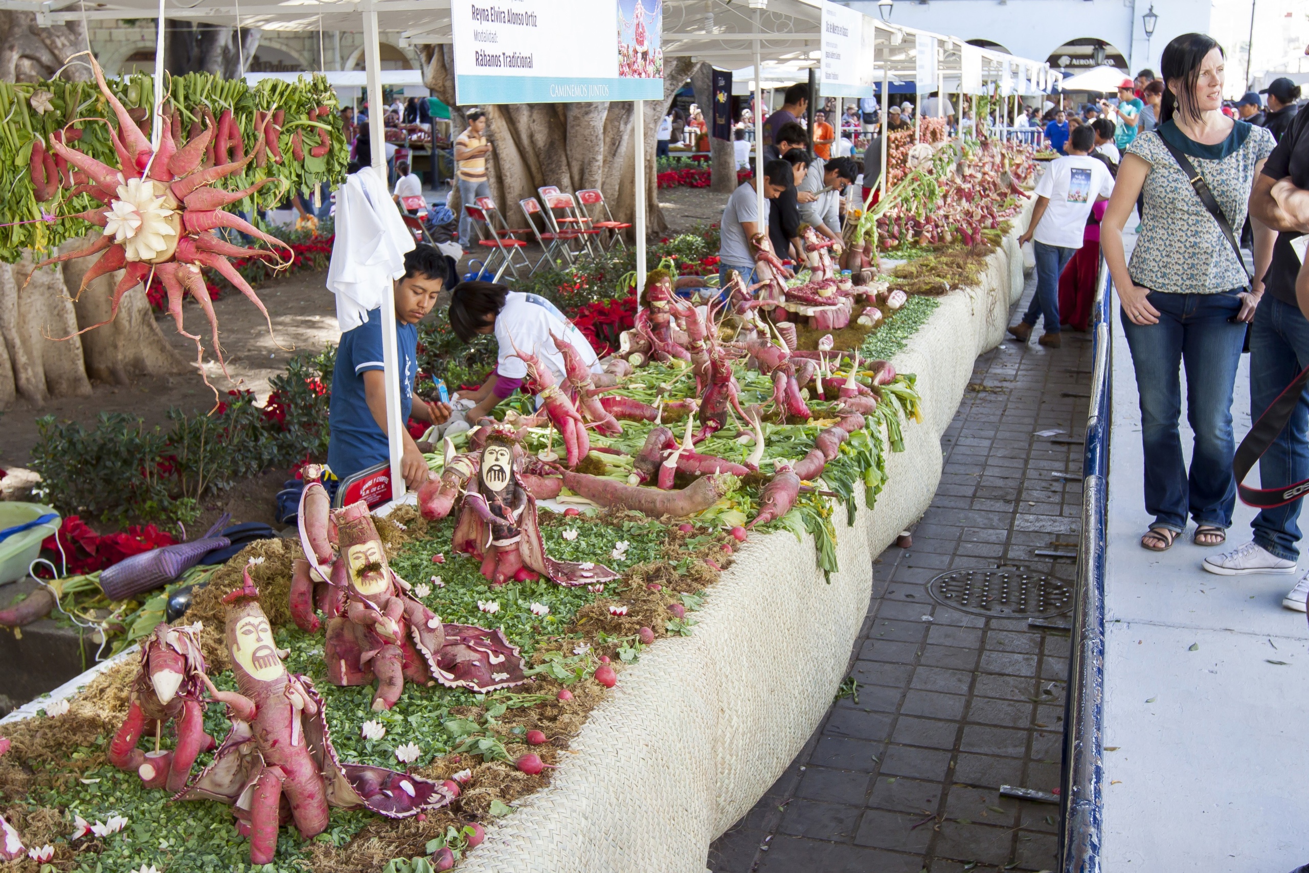 Oaxaca - Festiwal Rzodkiewek