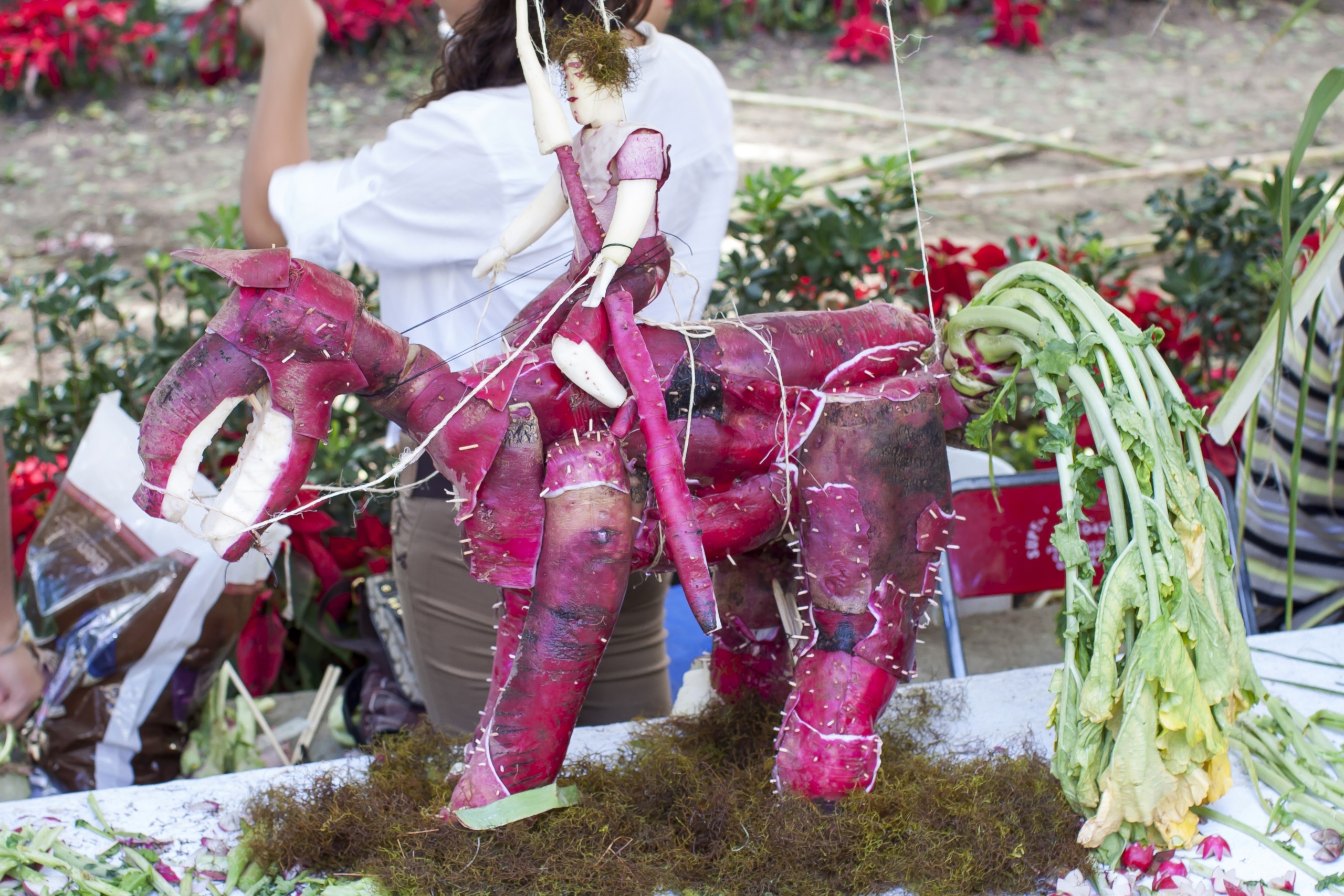 Oaxaca - Festiwal Rzodkiewek