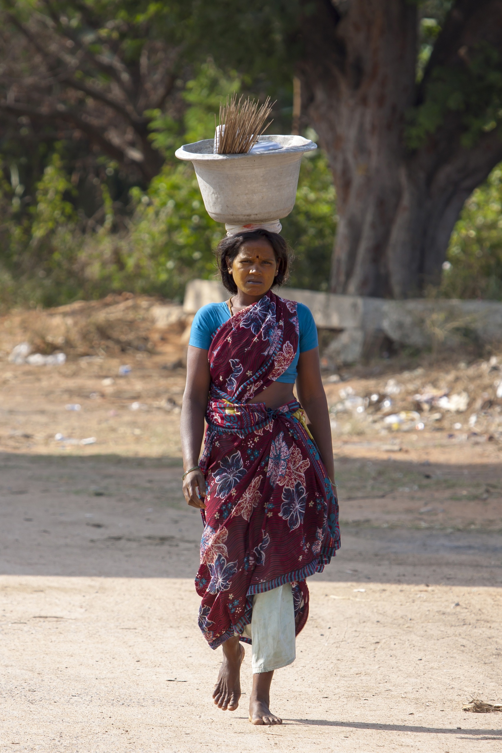 India - Yelagiri