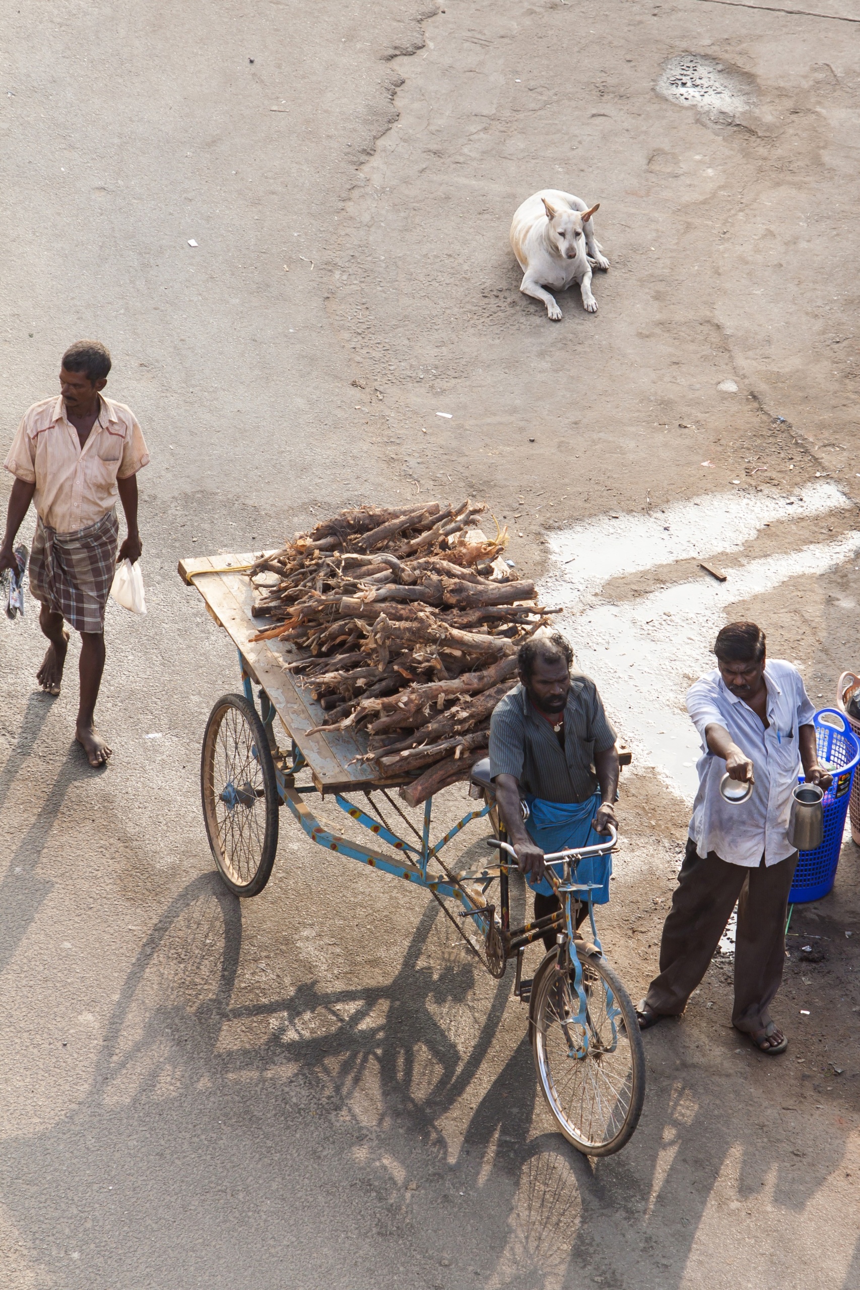 India - Thanjavur