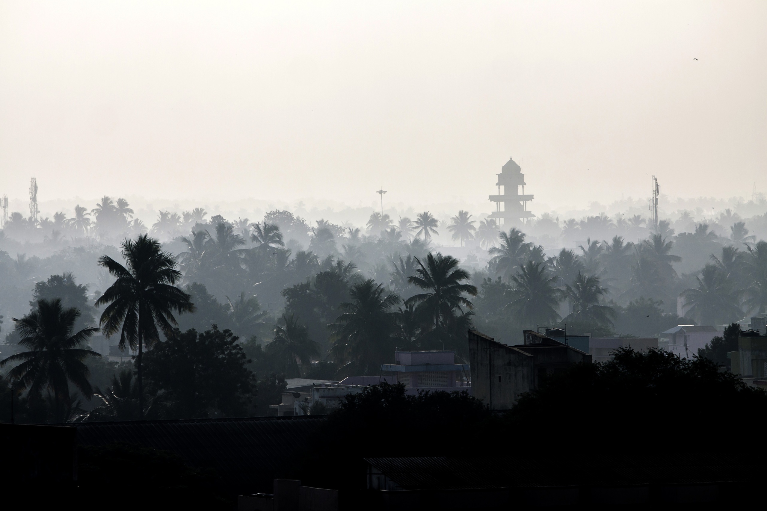 India - Thanjavur