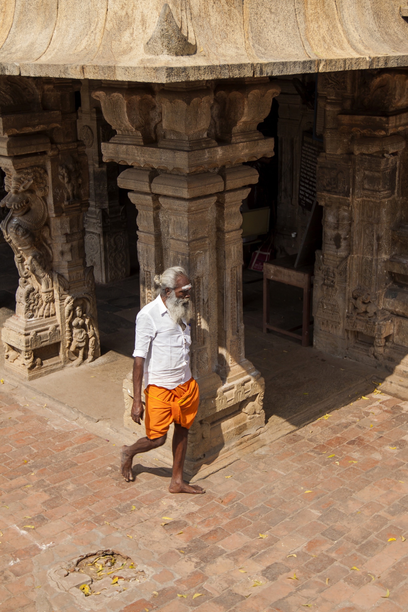 India - Thanjavur