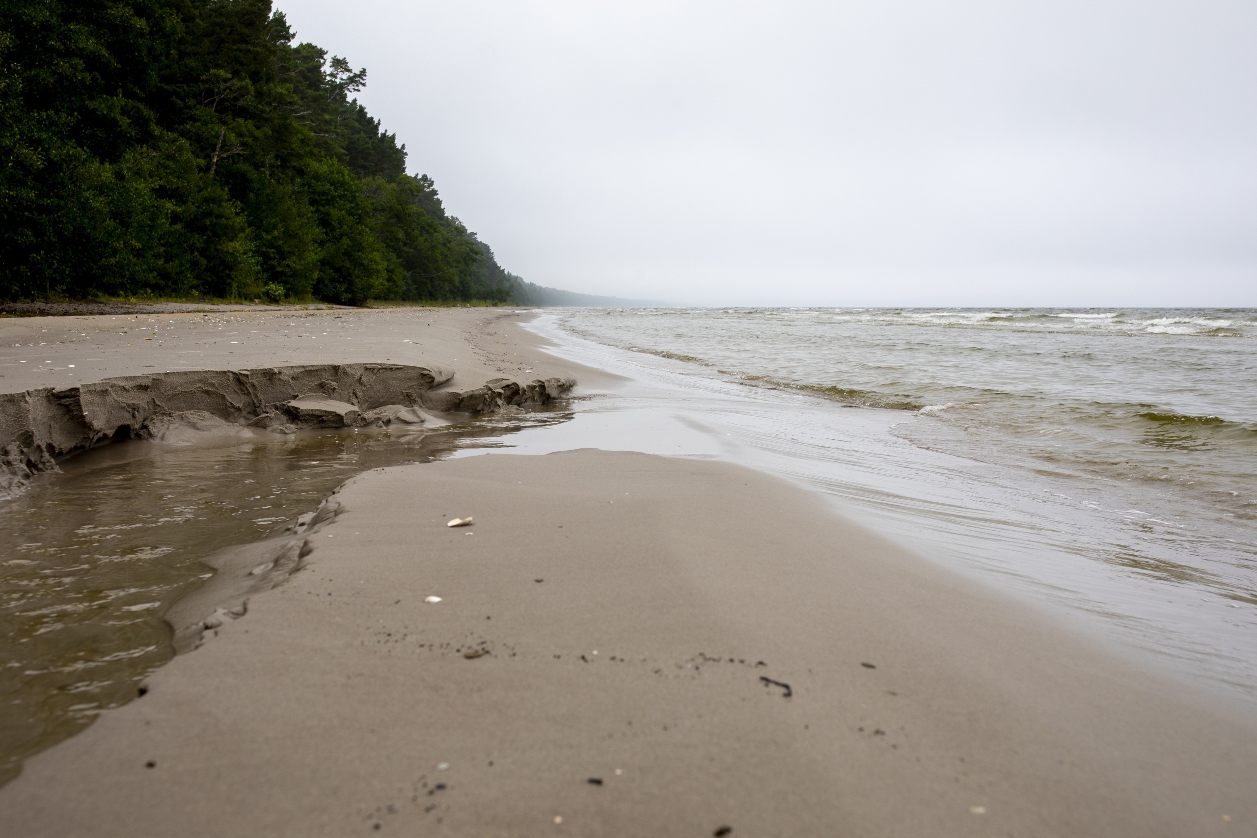 Przylądek Kolka - kilometry pustych plaż