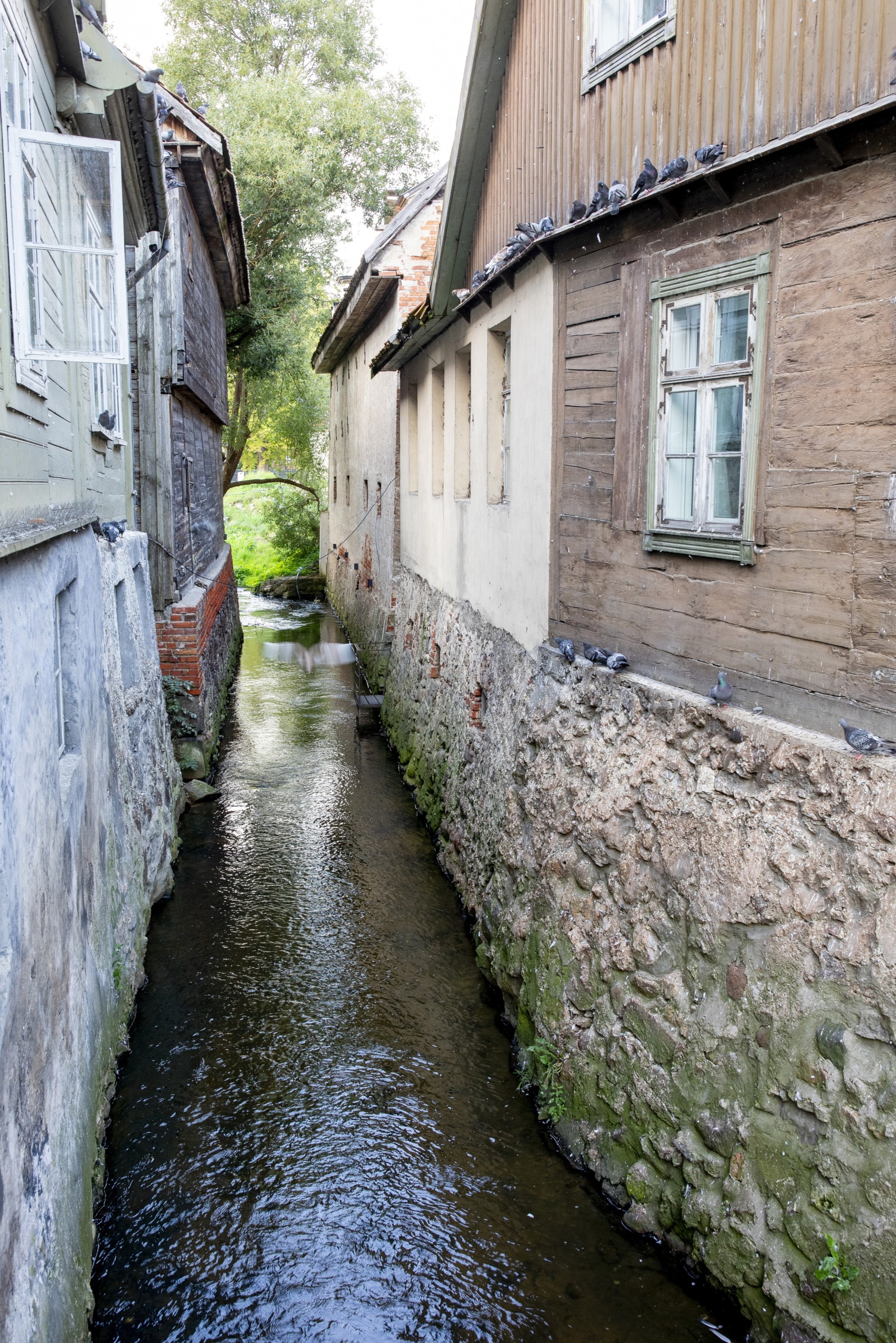 Kuldīga